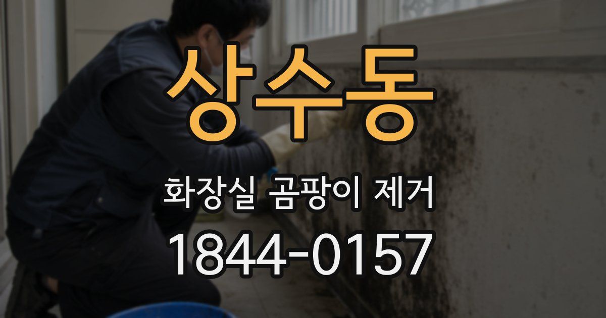 상수동 화장실 곰팡이 제거