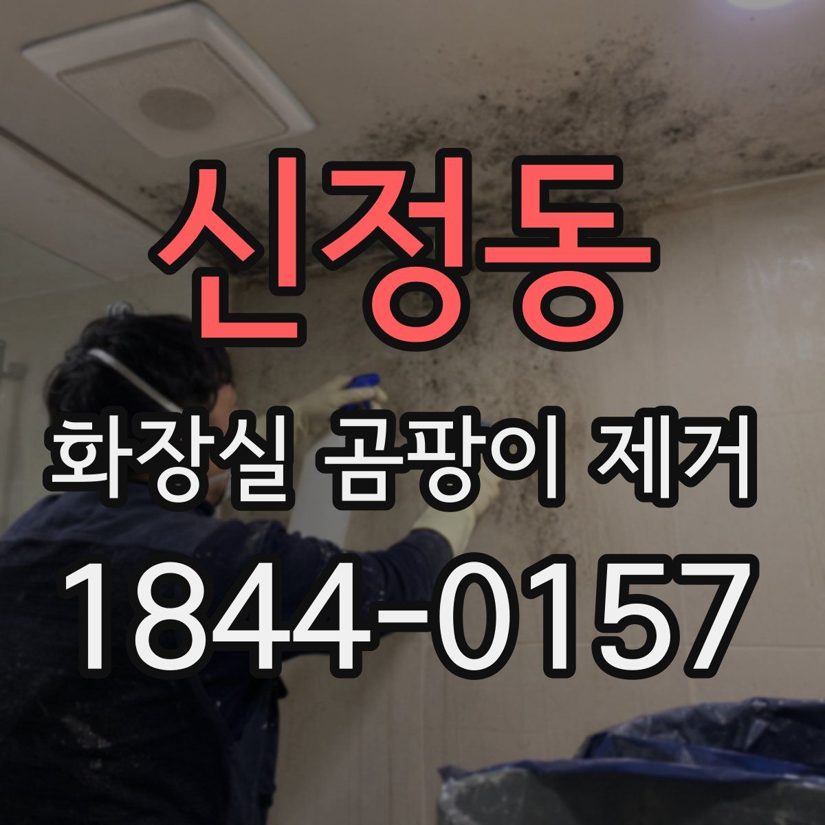 신정동 화장실 곰팡이 제거