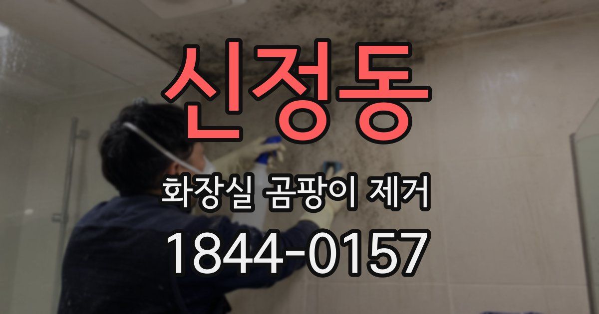 신정동 화장실 곰팡이 제거