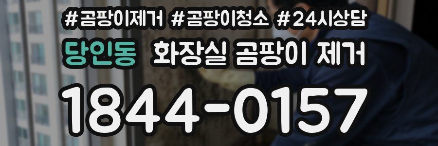 당인동 화장실 곰팡이 제거