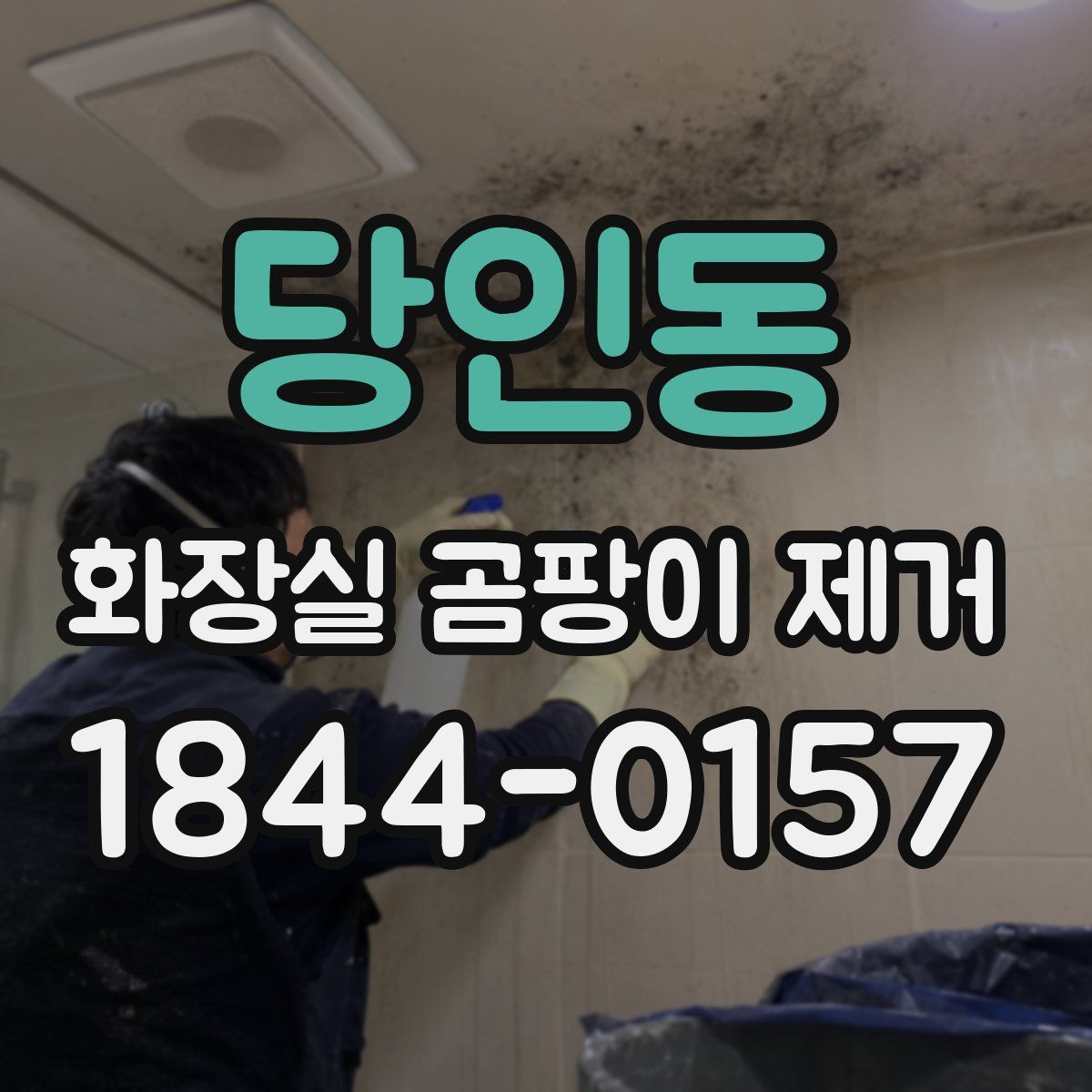당인동 화장실 곰팡이 제거
