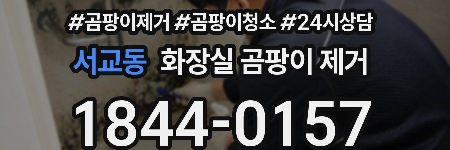 서교동 화장실 곰팡이 제거