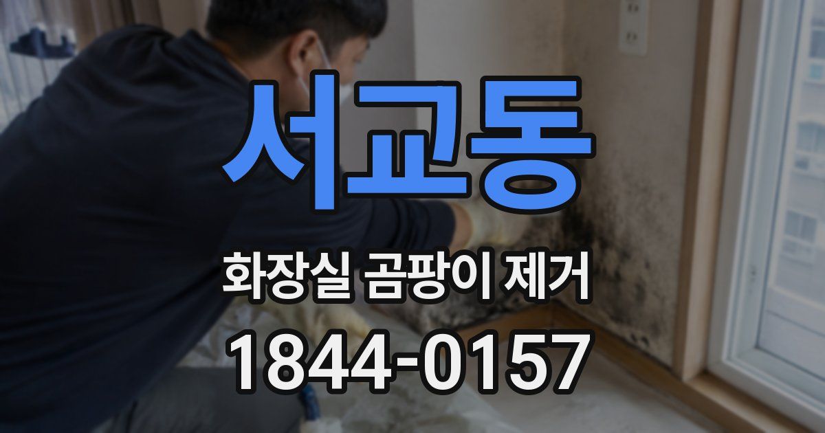 서교동 화장실 곰팡이 제거