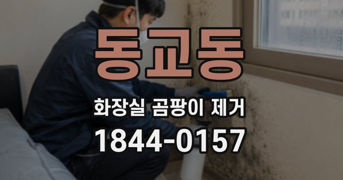 동교동 화장실 곰팡이 제거