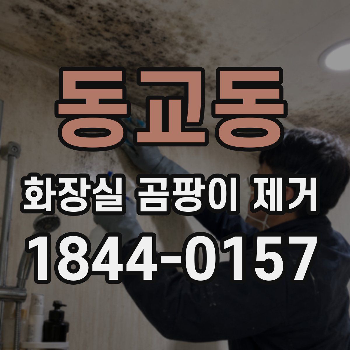 동교동 화장실 곰팡이 제거
