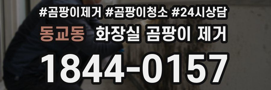 동교동 화장실 곰팡이 제거