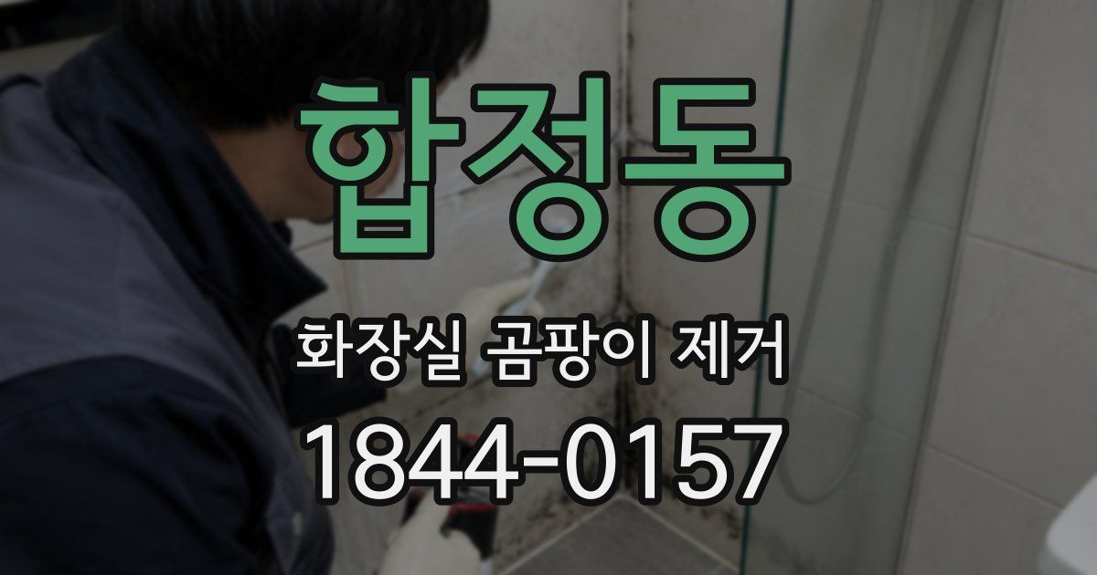합정동 화장실 곰팡이 제거