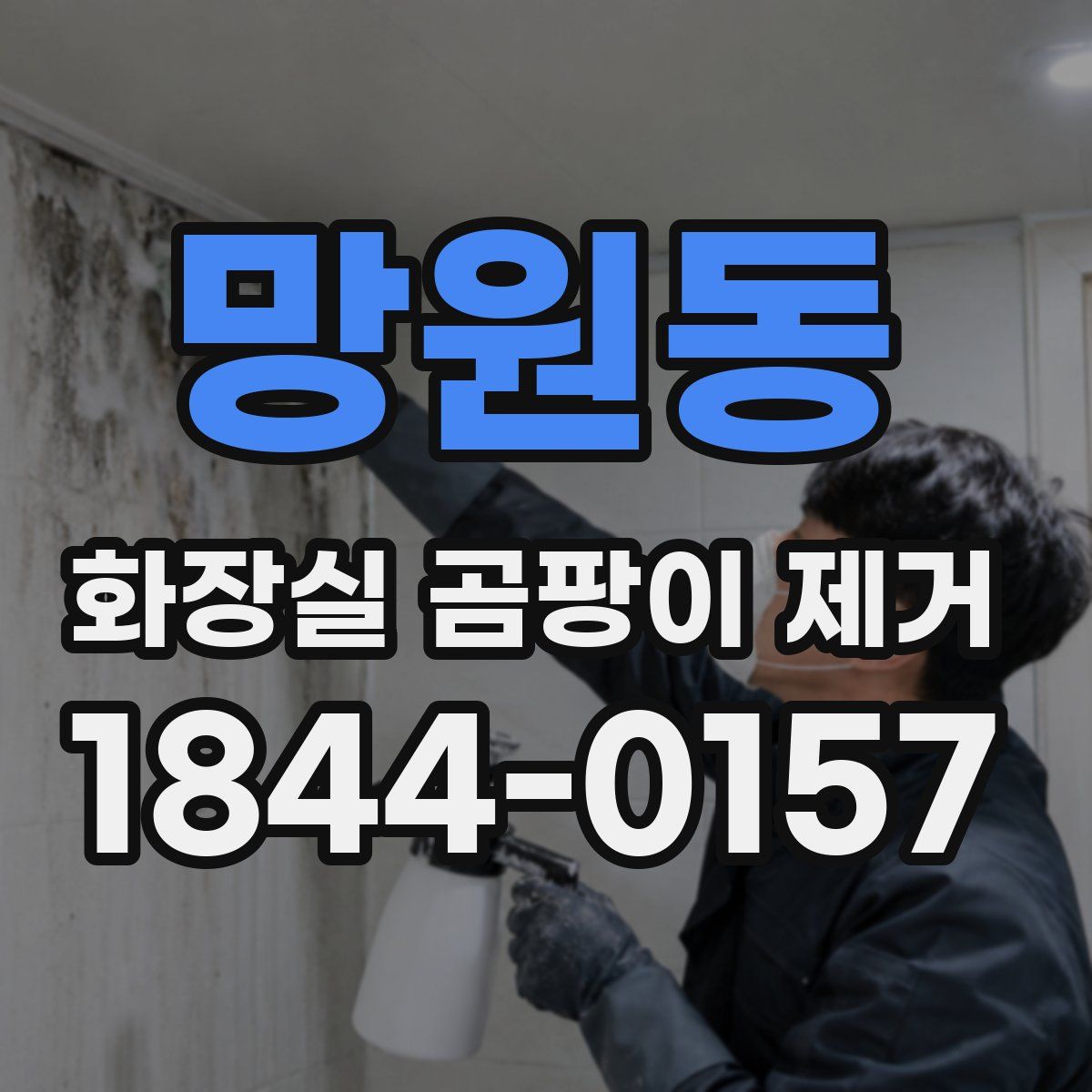 망원동 화장실 곰팡이 제거