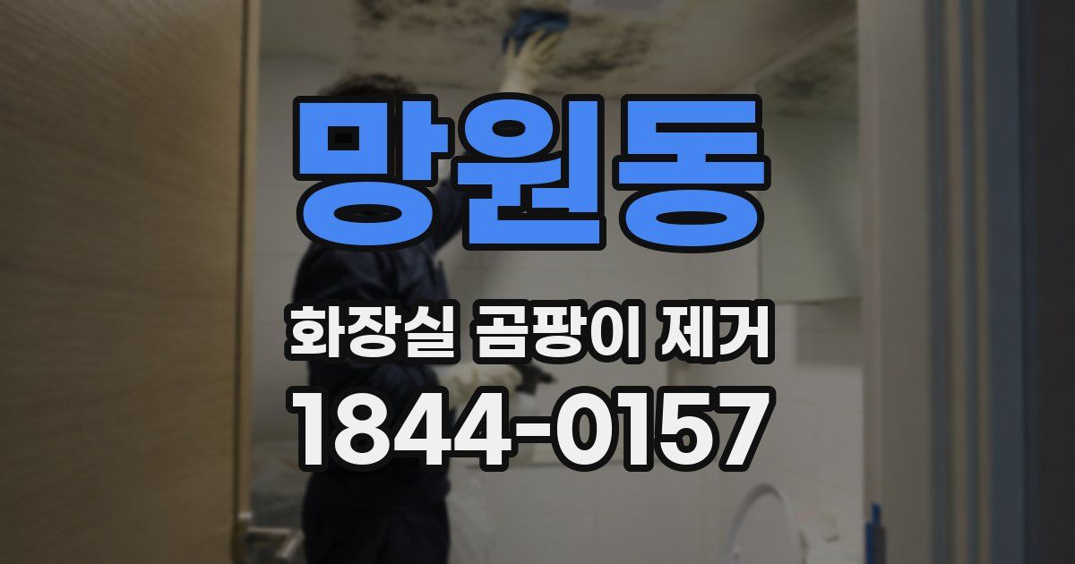망원동 화장실 곰팡이 제거