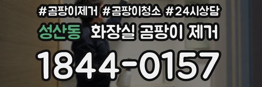성산동 화장실 곰팡이 제거