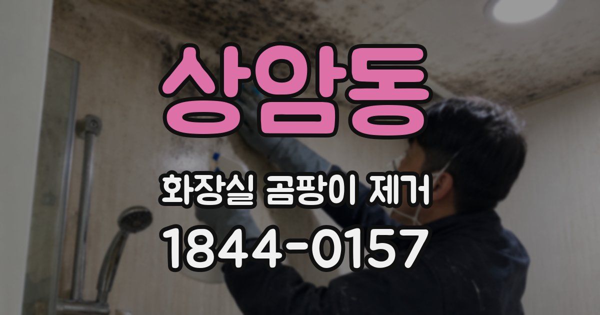 상암동 화장실 곰팡이 제거