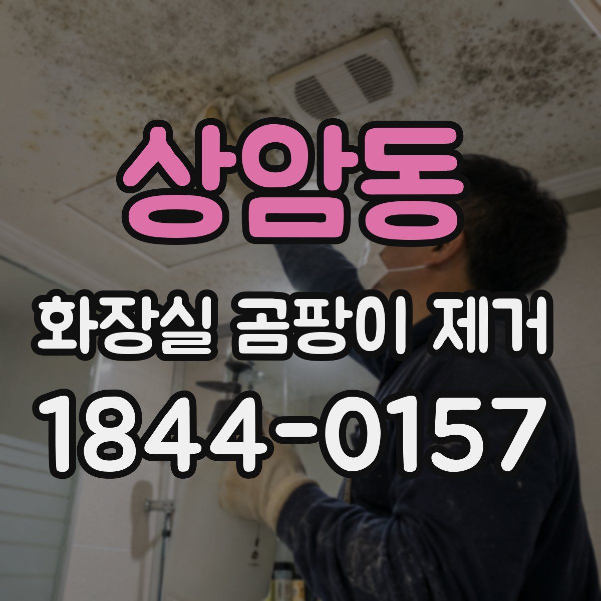 상암동 화장실 곰팡이 제거