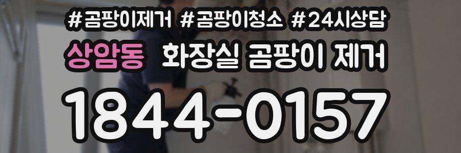 상암동 화장실 곰팡이 제거