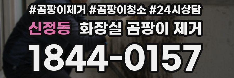 신정동 화장실 곰팡이 제거