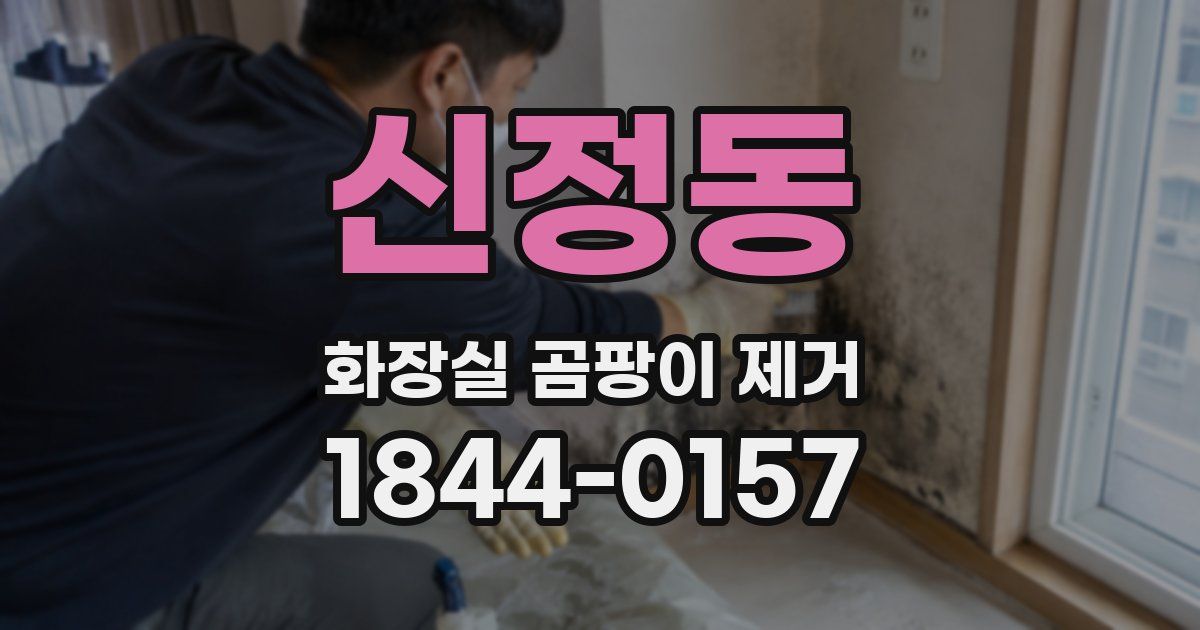 신정동 화장실 곰팡이 제거