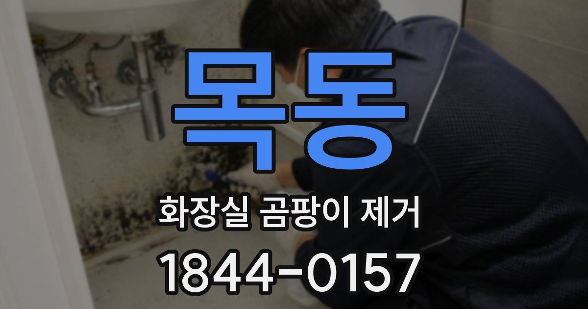 목동 화장실 곰팡이 제거