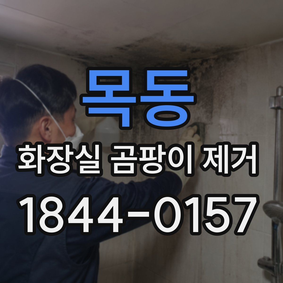 목동 화장실 곰팡이 제거