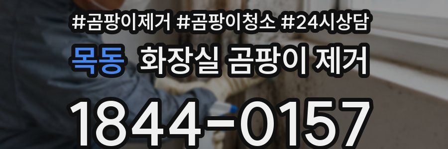 목동 화장실 곰팡이 제거