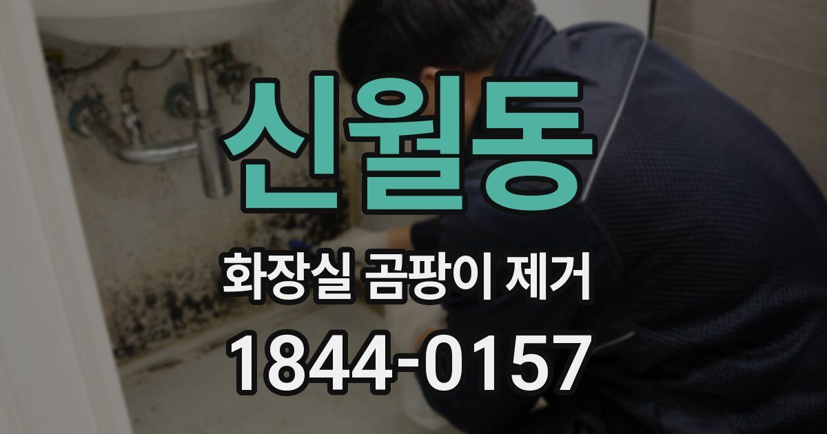 신월동 화장실 곰팡이 제거