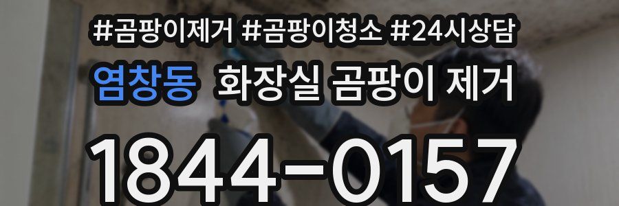 염창동 화장실 곰팡이 제거
