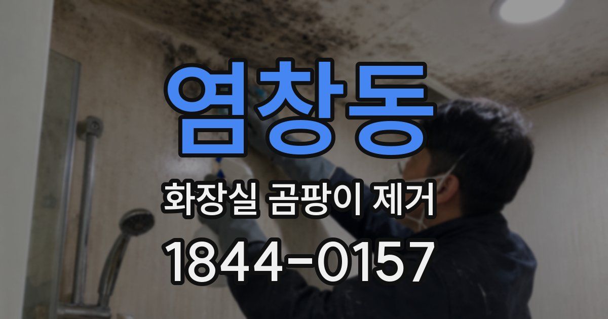 염창동 화장실 곰팡이 제거