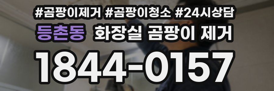 등촌동 화장실 곰팡이 제거