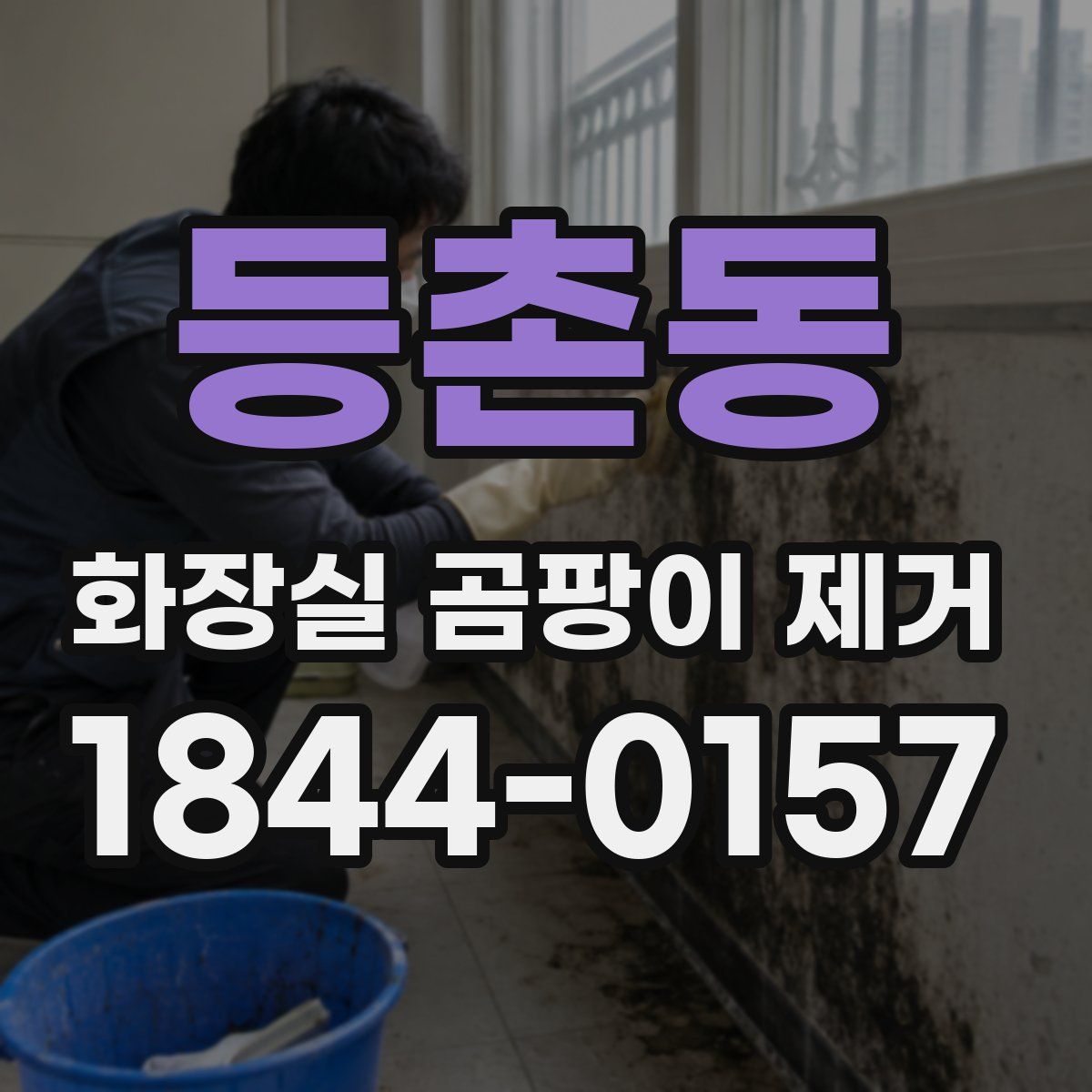 등촌동 화장실 곰팡이 제거