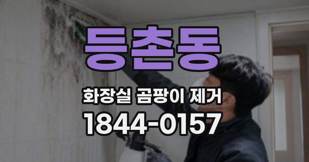 등촌동 화장실 곰팡이 제거