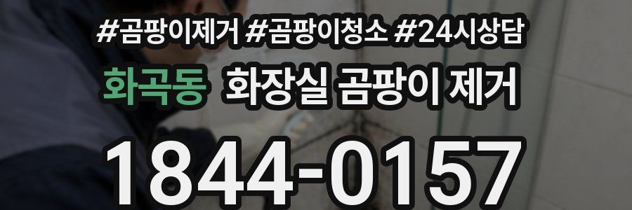 화곡동 화장실 곰팡이 제거
