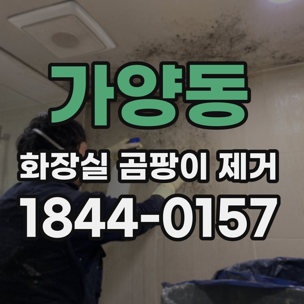 가양동 화장실 곰팡이 제거