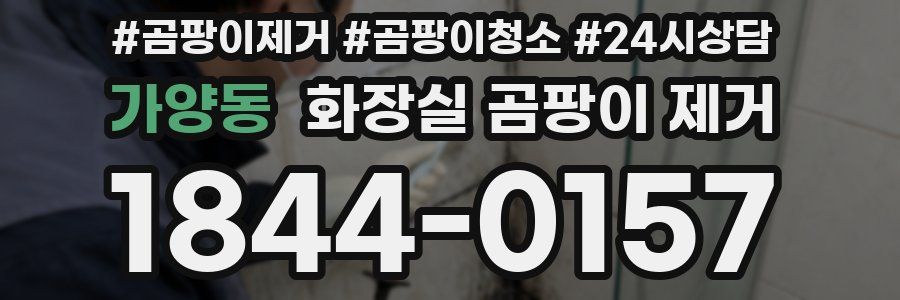 가양동 화장실 곰팡이 제거