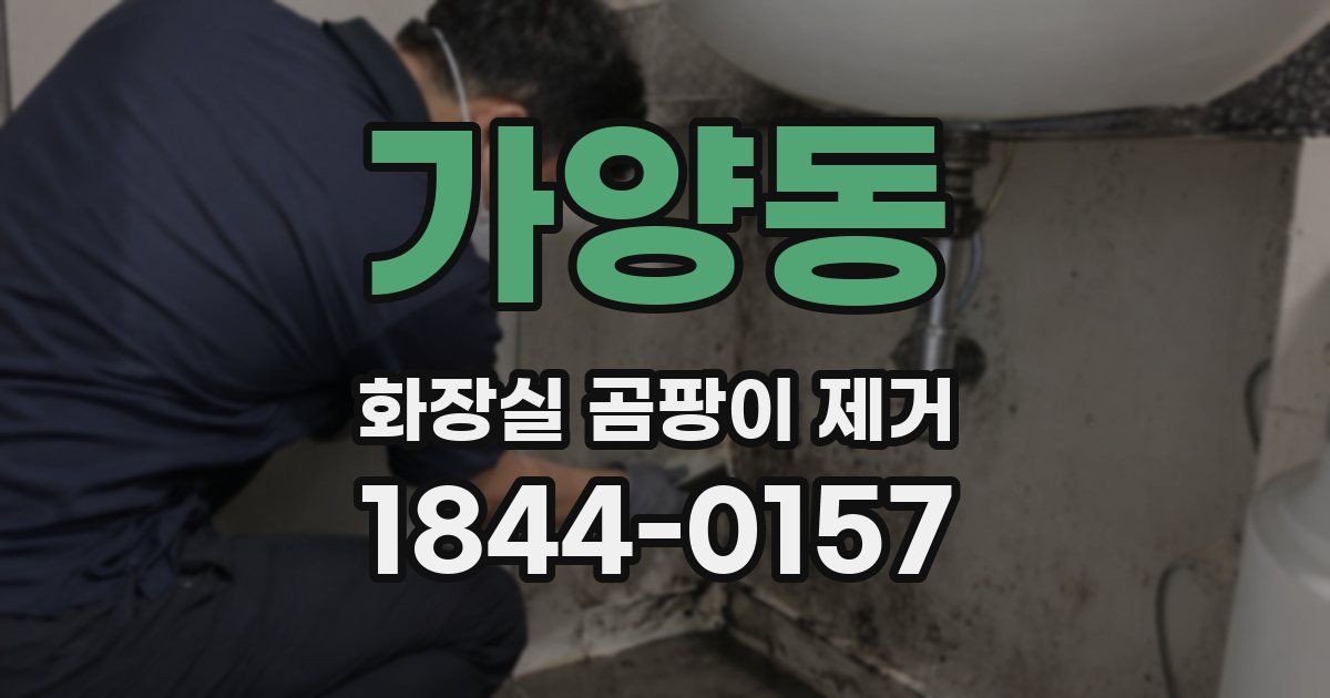 가양동 화장실 곰팡이 제거