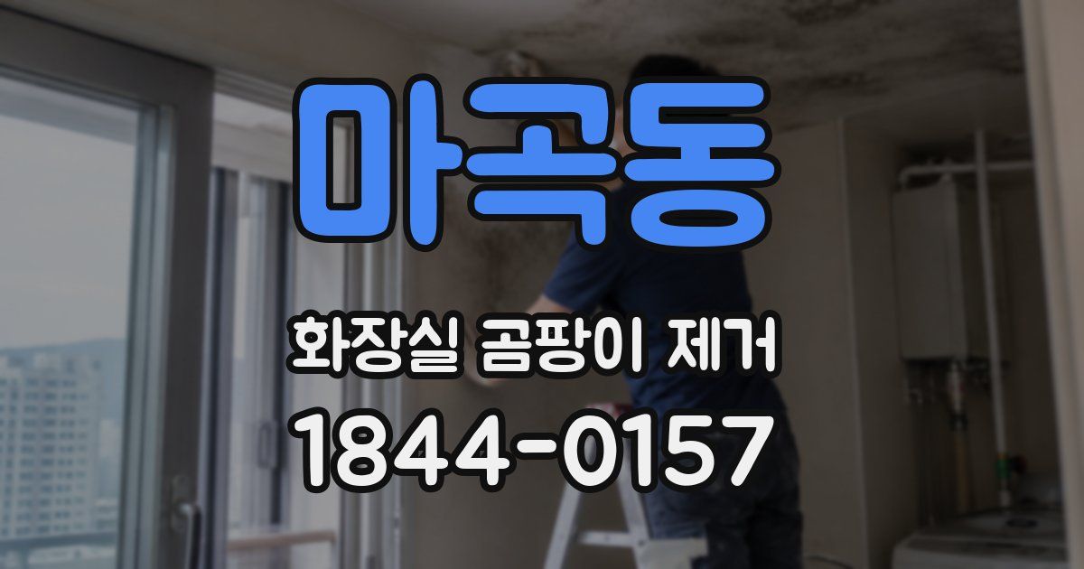 마곡동 화장실 곰팡이 제거