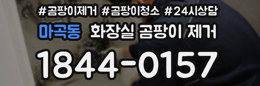 마곡동 화장실 곰팡이 제거