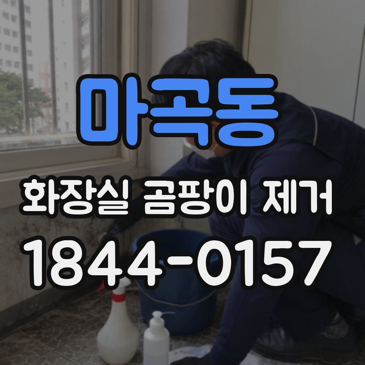 마곡동 화장실 곰팡이 제거