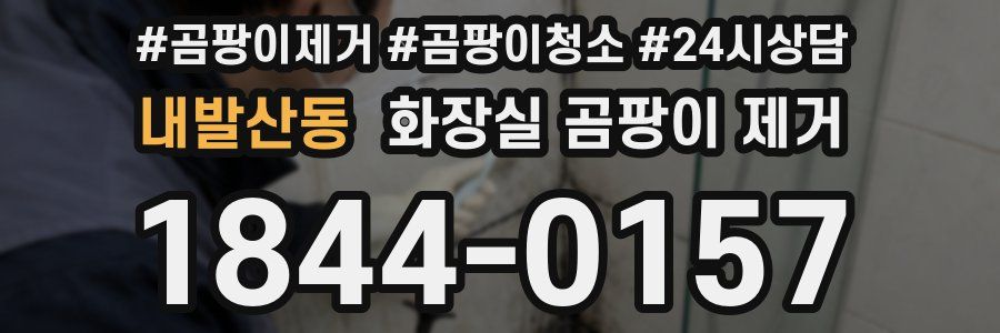 내발산동 화장실 곰팡이 제거