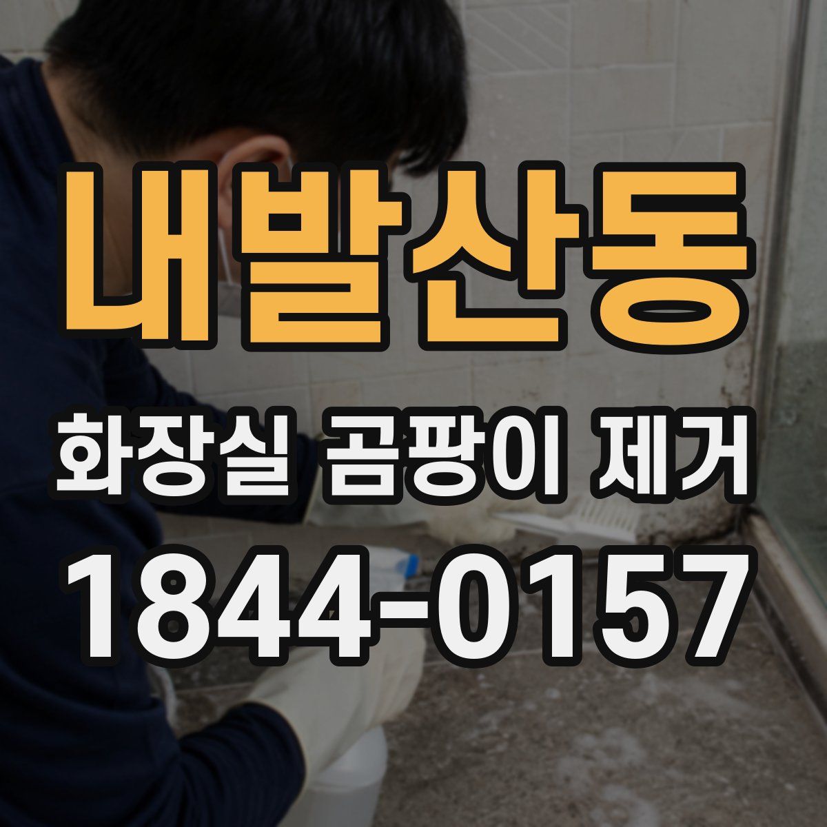 내발산동 화장실 곰팡이 제거