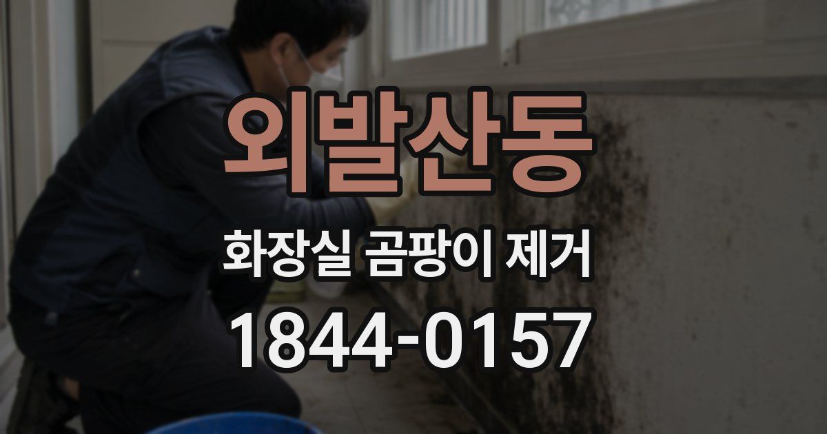 외발산동 화장실 곰팡이 제거