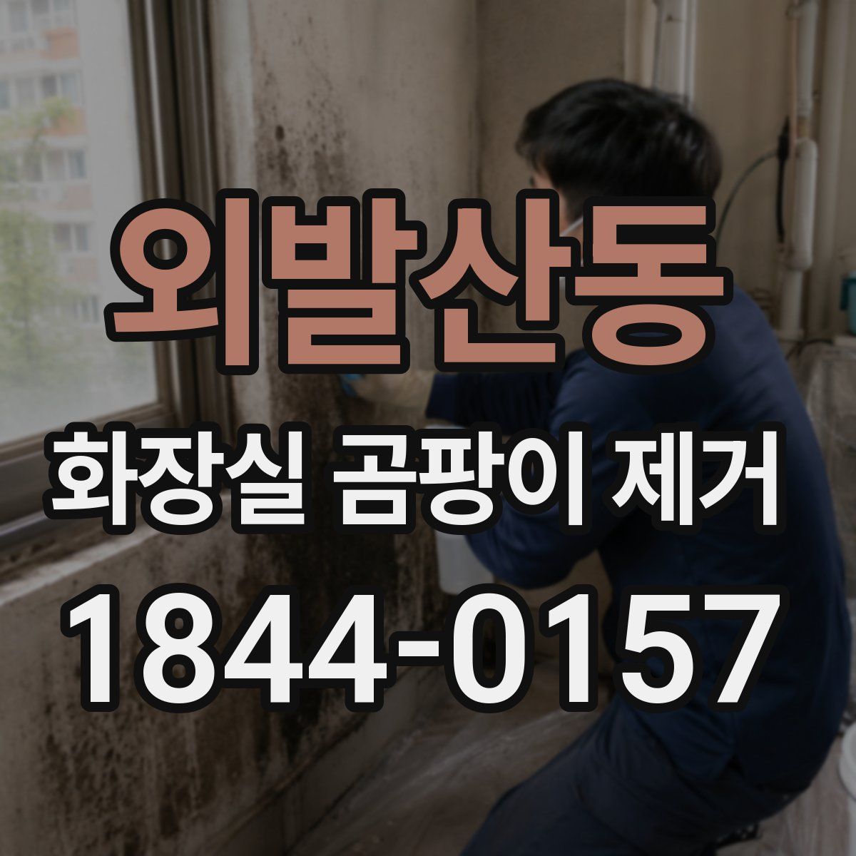 외발산동 화장실 곰팡이 제거