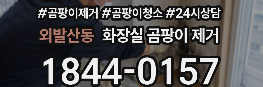 외발산동 화장실 곰팡이 제거