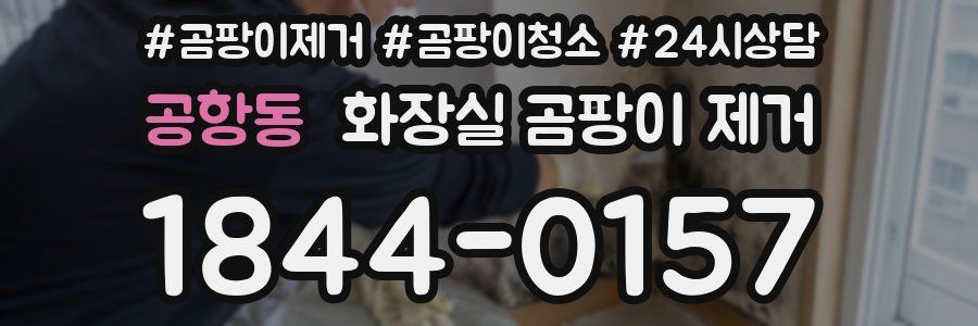 공항동 화장실 곰팡이 제거