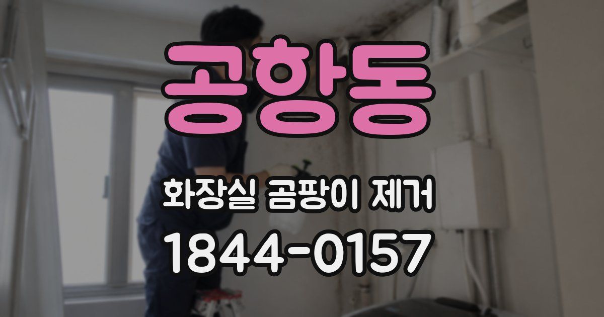 공항동 화장실 곰팡이 제거