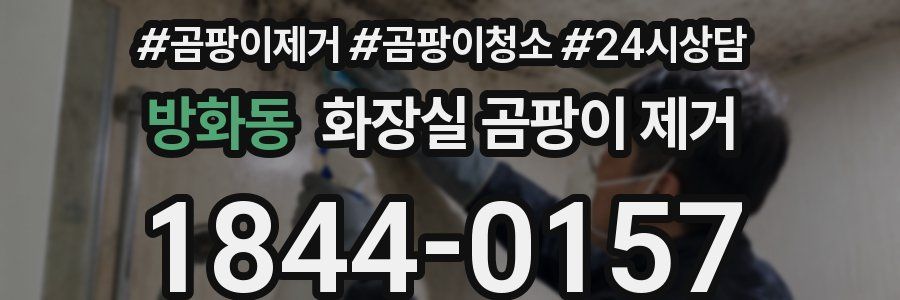 방화동 화장실 곰팡이 제거