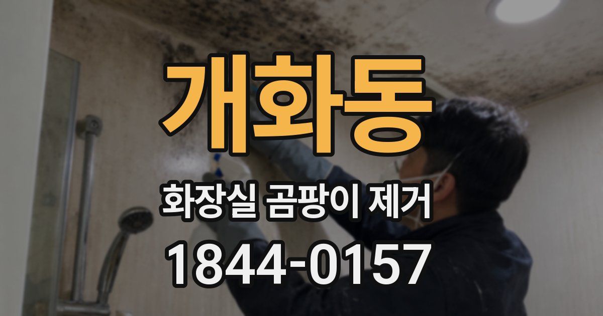 개화동 화장실 곰팡이 제거