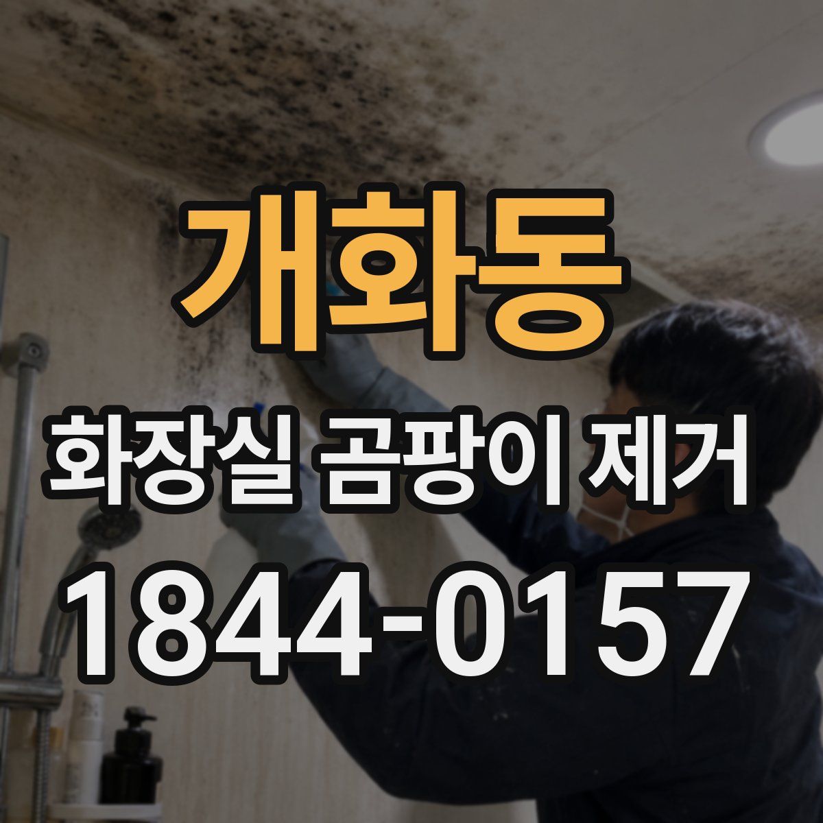 개화동 화장실 곰팡이 제거