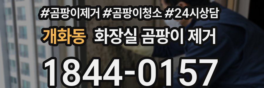 개화동 화장실 곰팡이 제거