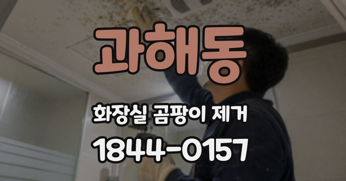 과해동 화장실 곰팡이 제거