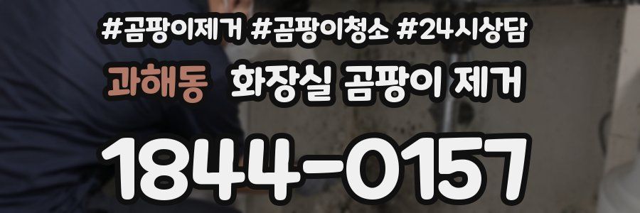 과해동 화장실 곰팡이 제거