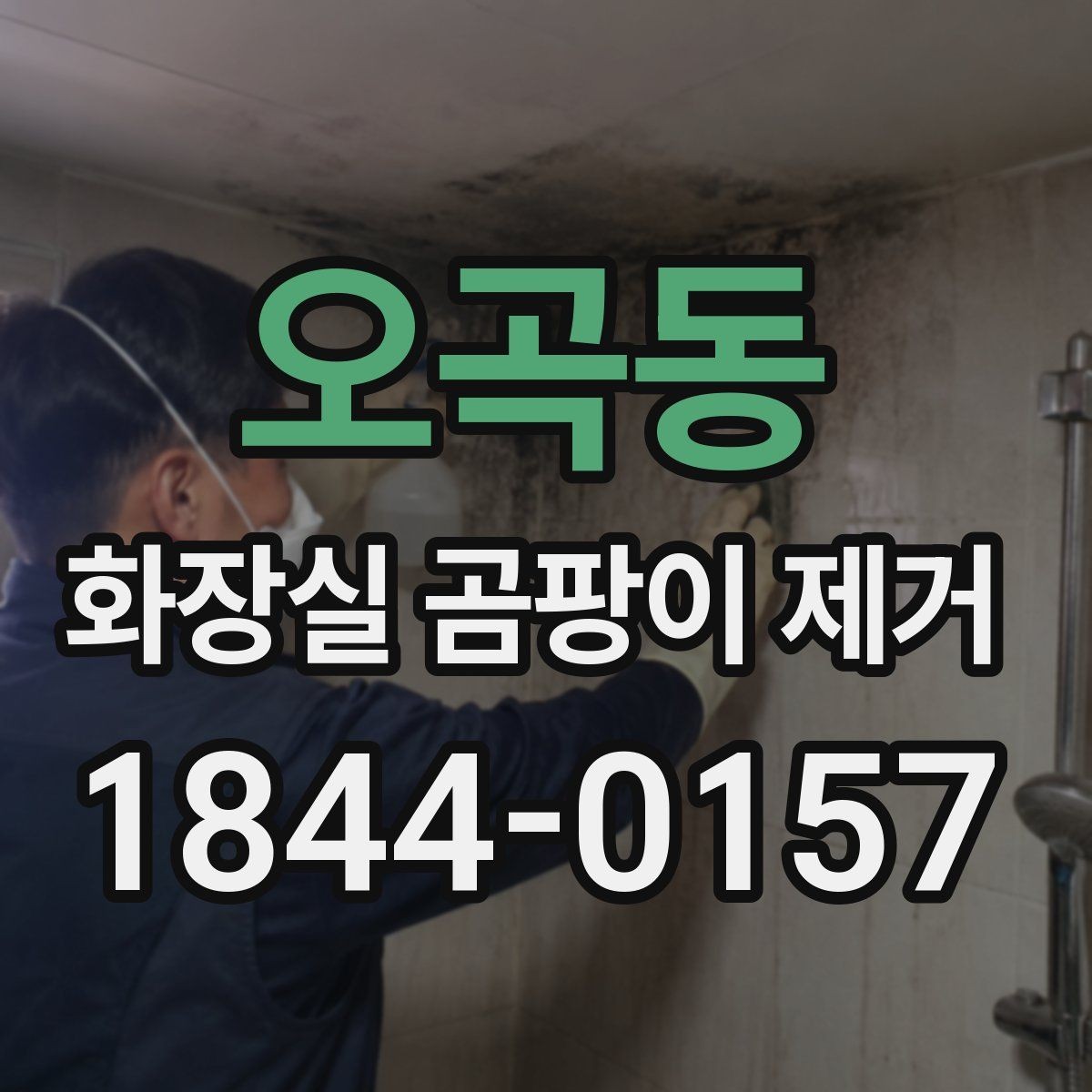 오곡동 화장실 곰팡이 제거 시 브러시와 분사형 제품의 사용 차이