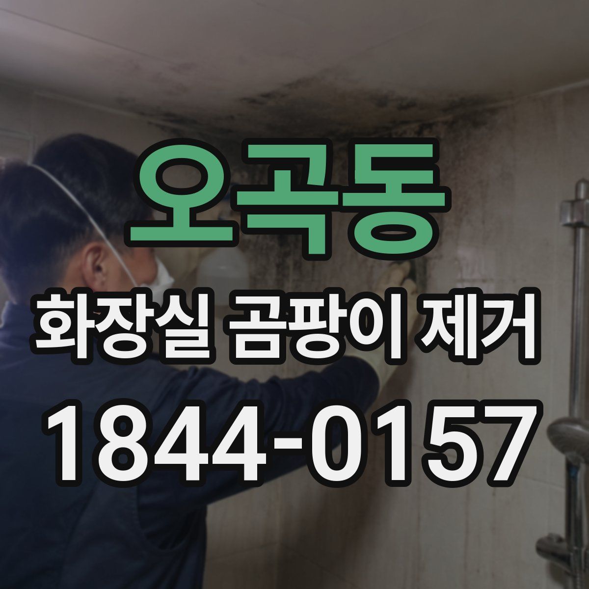 오곡동 화장실 곰팡이 제거